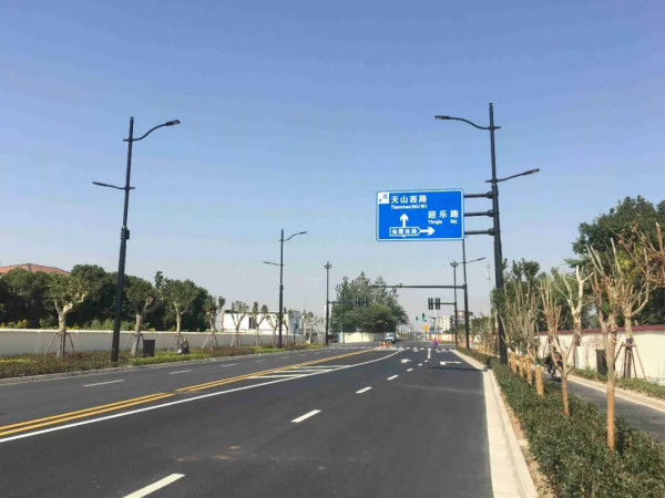 入口博览会周边途径多杆合一路灯