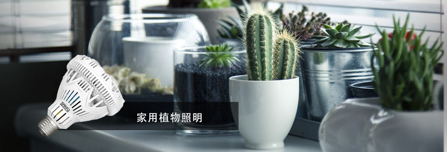 三思·动物照明