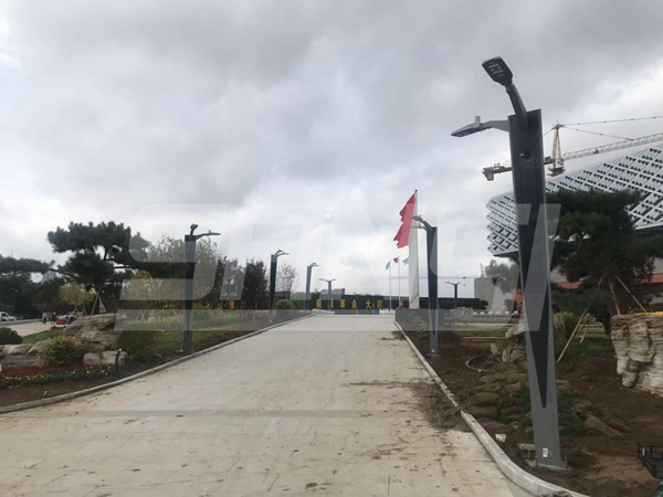 山西大同新动力园区聪明路灯