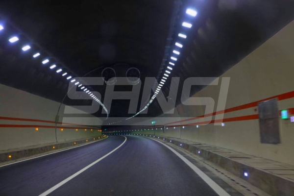 云南大丽地道