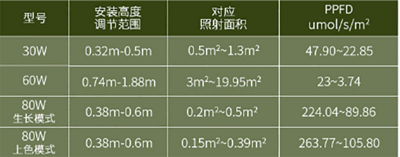 动物灯