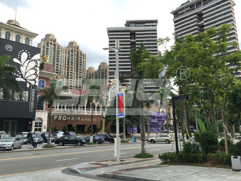 聪明灯杆,为都会宁静防护,注入新理念
