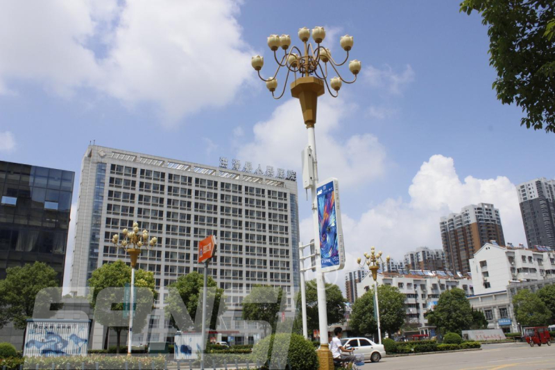 野生智能算法,赋能智能路灯,主动辨认,都会办理事务,聪明之眼