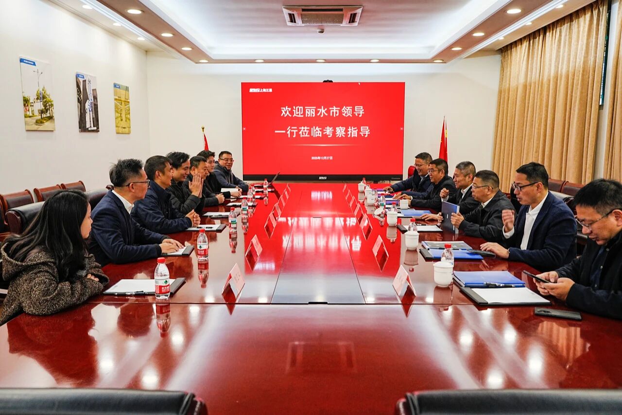 深切政企协同,共拓成长新局,丽水市,带领一行,赴三思虑察互换