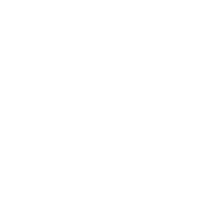 批发店