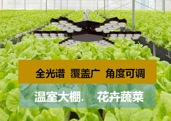 LED显现屏,LED显现屏厂家,LED照明厂家,照明处置计划,显现屏处置计划